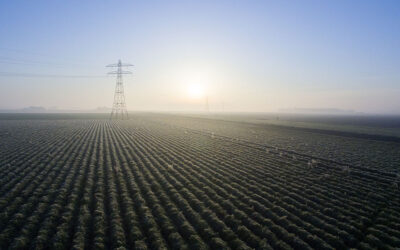 Zonnepanelen verplicht?
